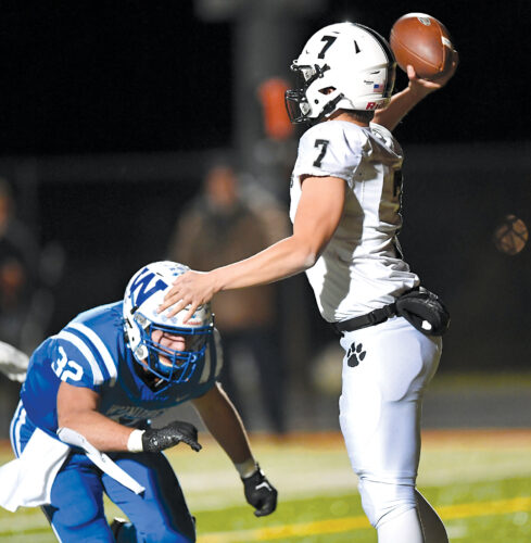 Panthers battle, but fall